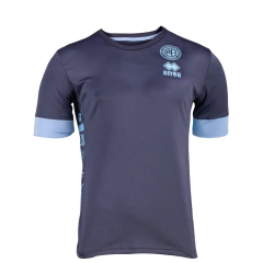 Remera Entrenamiento Belgrano Errea 2022